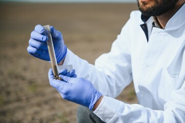 Agronomist studying samples of soil in field
