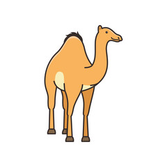 camel cartoon character
