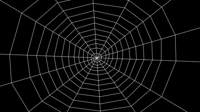 cyclic animation web white black background. 2d motion