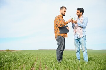 The concept of international relations in agrarian business. Indian and European farmers stand in a field of green wheat
