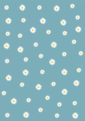 Daisy flower background.Eps 10 vector.