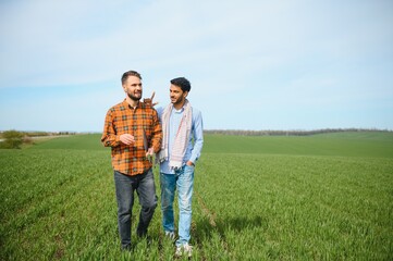 Indian and European farmers stand in a field of green wheat