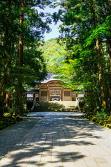 Fototapeta premium 越後国一宮 弥彦神社の随神門（新潟県西蒲原郡弥彦村彌彦）