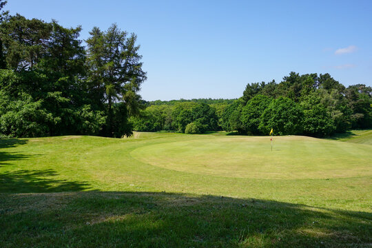 beautiful golf course landscape with woodland trees. view over golfing green with flag. sport and leisure image 