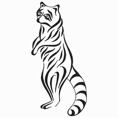 Fototapeta na wymiar Raccoon, black and white drawing. Hand drawn illustration. Vector image of a raccoon. Linear drawing. Tattoo design.