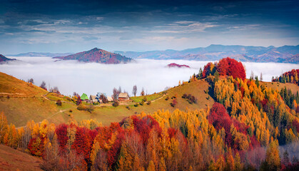 Fototapeta premium Colorful autumn scene of mountain village on the top of the hill. Foggy morning view of Carpathian mountains, Sokilsky ridge, Ukraine, Europe. Beauty of countryside concept background..