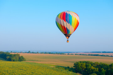 Hot air balloon is flying over the field with blooming sunflowers