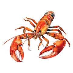Whimsical Lobster: Delightful 2D Illustration