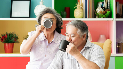 senior couple happy love smile face, old man and senior woman relaxing on living room drinking...