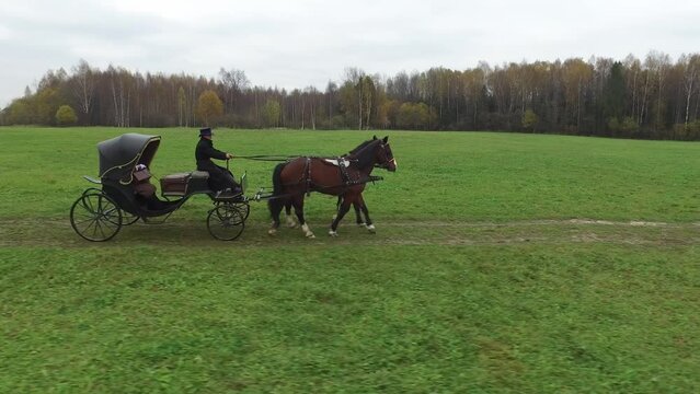 An old horse-drawn carriage rides along a village road among green fields and forests. A carriage with two horses. Aerial view