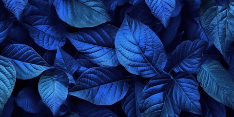 Obraz na płótnie Canvas Botanical background of macro leaf texture patterns in deep dark pacific blue color, wide banner size