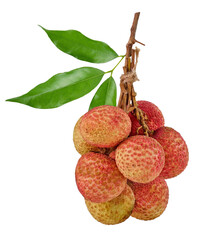 Fresh ripe lychee fruit or bunch of lychee isolated. Png transparency