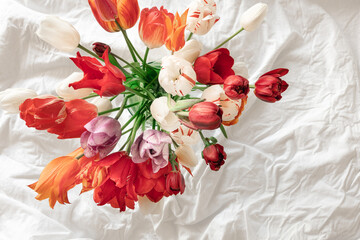 Bouquet of fresh tulips in a white bed, top view.
