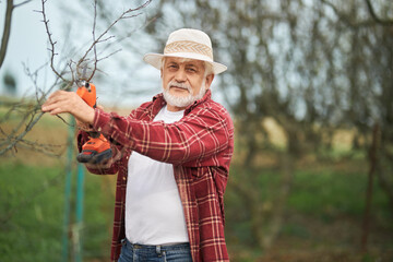 Front view of gardener standing, looking at camera. Old male with grey hair and beard taking care...