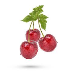 Cherry with drops with leaves isolated on white background