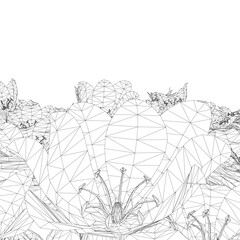 Wireframe Grass with herbs and wild flowers. Vector isolated wireframe of floral meadow. Horizontal border Outline Flowers and herbs isolated on white background. Hand drawn sketch flowers and insects