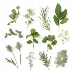 Fototapeta premium flat lay composition of various green herbs isolated on white background, top view. AI generated content