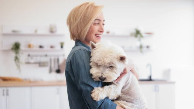 Portrait of smiling blonde lady with West Highland White Terrier in arms posing on background of spacious kitchen. Happy caucasian pet owner rewarding good behavior during day with gentle hug.