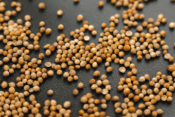 Macro shot of coriander seeds. Organic food, healthy lifestyle. Medicinal herbs and spices