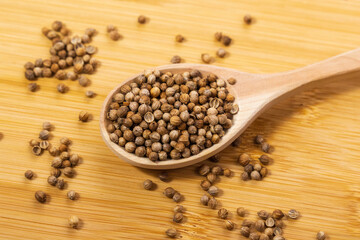 Coriander seeds, close-up, Chinese parsley, dhania and cilantro, used as aromatic and flavorful spice.