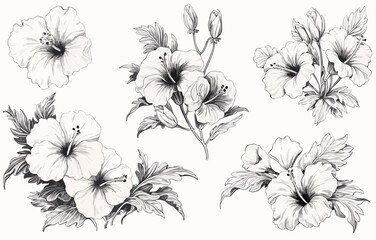 Botanical drawing. Minimal plant logo, leaf and blooming flower abstract sketch element collection, linear rustic branch. Vector hand drawn wedding invitation bouquet decoration set