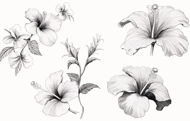 Botanical drawing. Minimal plant logo, meadow greenery, leaf and blooming flower abstract sketch element collection, linear rustic branch. Vector hand drawn wedding invitation bouquet decoration set