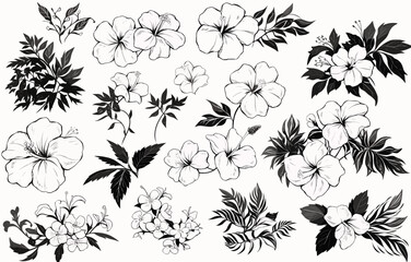 Botanical drawing. Minimal plant logo, leaf and blooming flower abstract sketch element collection, linear rustic branch. Vector hand drawn wedding invitation bouquet decoration set