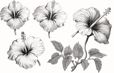 Botanical drawing. Minimal plant logo, leaf and blooming flower abstract sketch element collection, linear rustic branch. Vector hand drawn wedding invitation bouquet decoration set