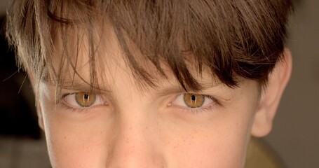 Attentive look of a child boy. He keeps his eyes on the spot, the confidence, high self-esteem of a teenager. Lowering his eyebrows down, he looks from under his forehead. Tight look.