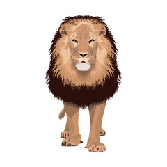 The Lion. Portrait of a lion standing isolated on white background, realistic vector illustration