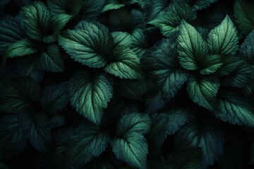 Naklejka na ściany i meble Nature leaves green texture with dark shadows Generative AI