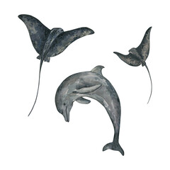 Ocean underwater  watercolor animals illustration. Hand drawn stingrays and dolphin isolated on white background.
