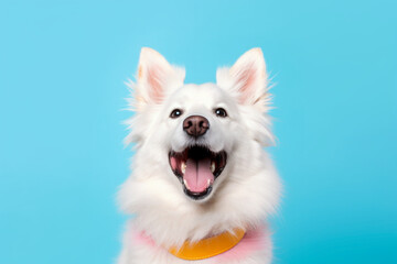 Fototapeta na wymiar Happy white dog isolated on colorful background, Generative AI