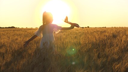 little child girl daughter runs through wheat field with toy plane her hand sunset, happy family dream fly, kid with toy airplane park, dreamer happy child, free children dream concept, happy child