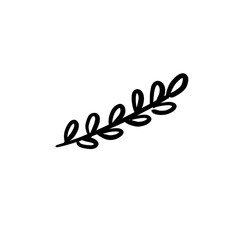 Obraz premium Tree branch