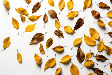 Yellow Soaring Leaves On White Background. Generative AI