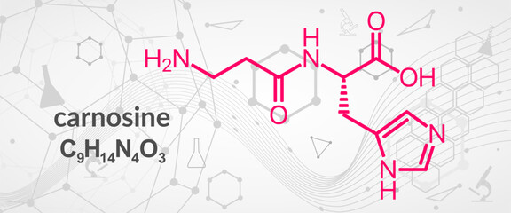 Carnosine or L-carnosine food supplement molecule. Skeletal formula.