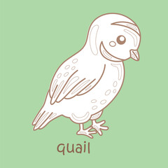 Alphabet Q For Quail Vocabulary School Lesson Reading Writing Digital Stamp Outline