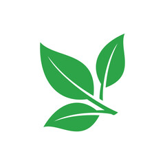 Green Leaf Vector, Eco Leaves Spa Logo Template