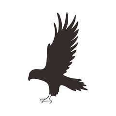 eagle in the sky