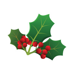 Holly berry icon isolated on white background. Vector illustration.
