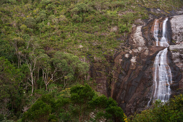 Remote Waterfall in the Heart of the Lush Jungle