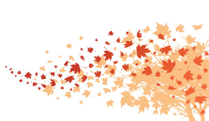 Maple leaves. Autumn background with maple leaves flying and falling from the tree. Isolated on white background. Vector - 610307958