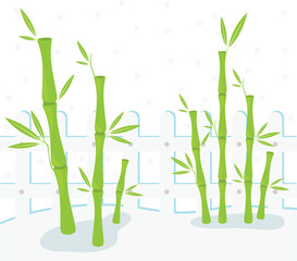 bamboo on white background illustration