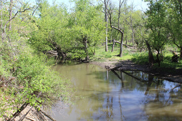 North Branch of the Chicago River at Miami Woods in Morton Grove, Illinois