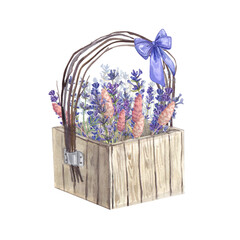 Basket with flowers and a bow isolated background. Watercolor illustration in Provence style. Botanical image of dried flowers and lavender. Suitable for stickers, postcards, design, flower shops.