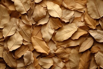 Dried tree leaves are multicolored filled background. Texture herbarium.
