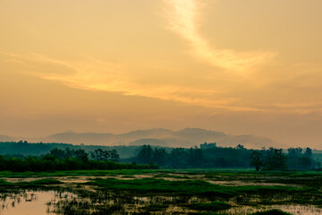 Natural blurred background of fog scattered among trees in the morning, with soft sunlight from the sun, seasonal beauty.