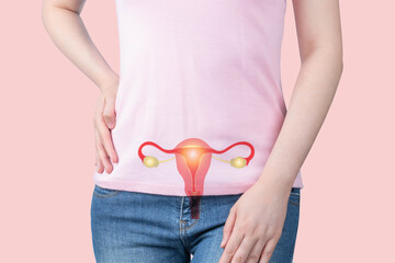 Healthy uterus and ovaries anatomy on female body over pink background. Woman reproductive health...