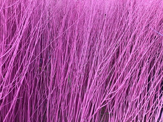 Pink stained stalks dyed wood  decorations as texture and background